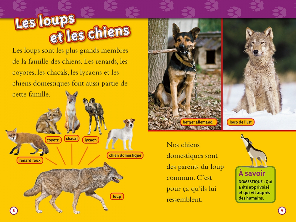 National Geographic For Kids Wolves In French